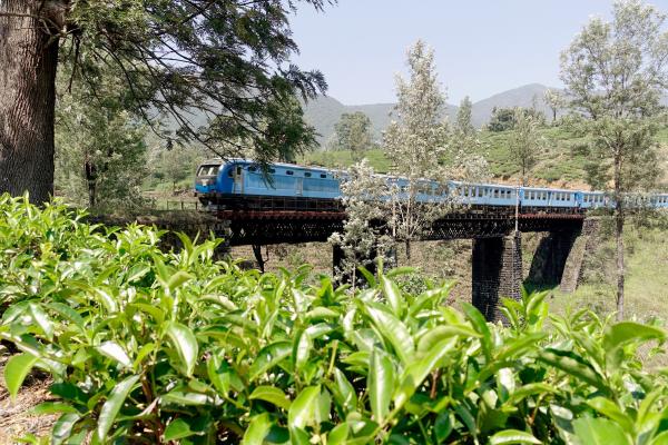 Bild 1 von 4: Die Eisenbahnstrecke durch das Hochland von Sri Lanka zählt zu den schönsten Bahnstrecken der Welt.