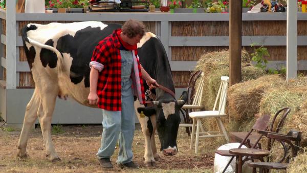 Bild 1 von 5: Maki hat Geburtstag! Im City Shop gibt es für ihn ein Geschenk. Fritz darf es abholen, muss sich aber entscheiden, ob er 5.000â'¬ aus dem Gesamtjackpot dafür opfert. Und: Chris gründet eine Anti-Paco-Allianz.