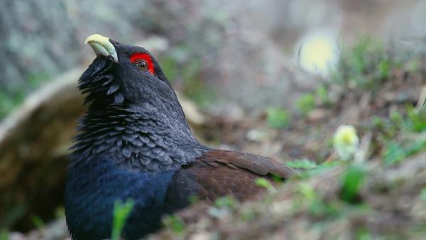Bild 1 von 1: .