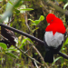 Ecuador, Hotspot der Artenvielfalt
