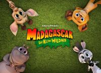 Madagascar - Die kleine Wildnis