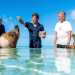Elstners Reisen