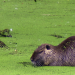 Die schönsten Naturparadiese im Südwesten
