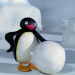 Pingu
