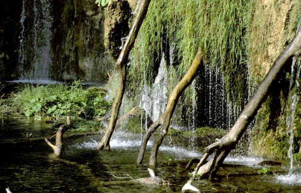 Bild 1 von 16: Im Bild: Teil eines Kaskadenbeckens.