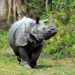 Big Five Asien