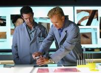 CSI: Miami