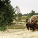 Bilderbuch: Prignitz