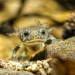 Abenteuer Wildnis