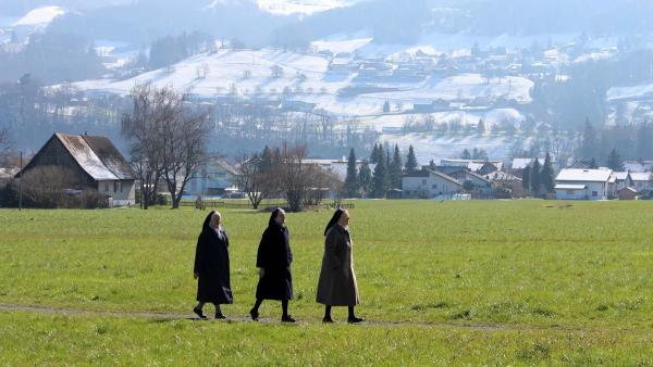 Bild 1 von 6: .