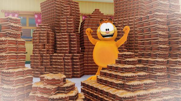 Bild 1 von 13: Garfield
