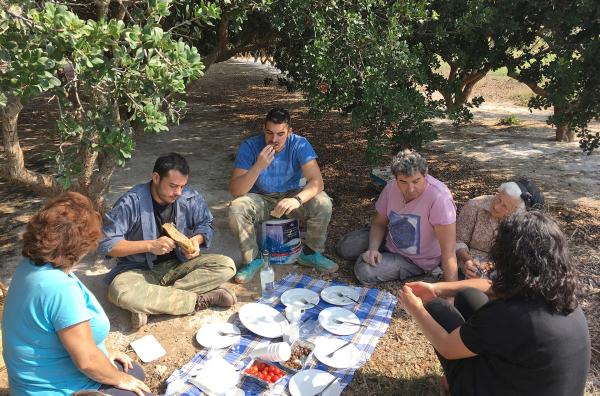 Bild 1 von 6: v.l.: Vaso Chloru, Nikos Kolomvos, Nikos Merges, Giannis Merges, Kalliopi Chloru und Maria Chloru picknicken im Mastix-Hain.