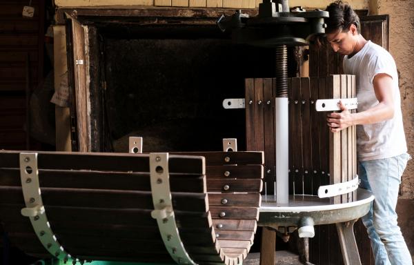 Bild 1 von 2: Jungwinzer Alex Saltaren Castro, 32 Jahre aus Cali (Kolumbien), baut in Oestrich-Winkel Riesling an.