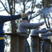 Foxcatcher