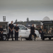 Hunde im Einsatz