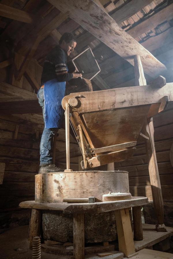 Bild 1 von 16: Im Bild: Mario Lugger.