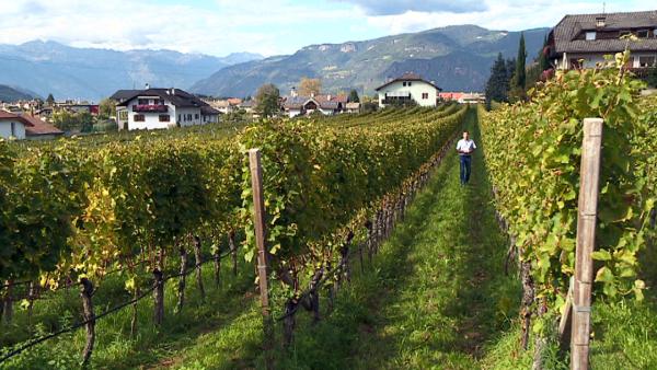Bild 1 von 1: .