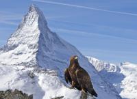 Wilde Alpen