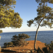 Ibiza - Die magische Insel