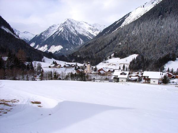 Bild 1 von 14: Ortsansicht St. Nikolai - im Hintergrund die Niederen Tauern.