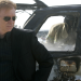 CSI: Miami
