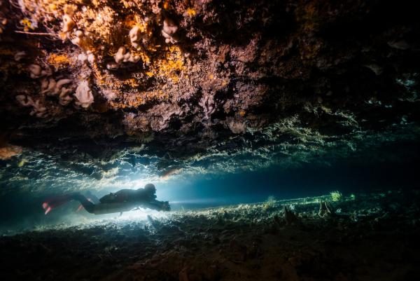 Bild 1 von 15: Meereshöhle in Yucatán: Zwischen Höhlen und Ozean findet ein ständiger Austausch statt.