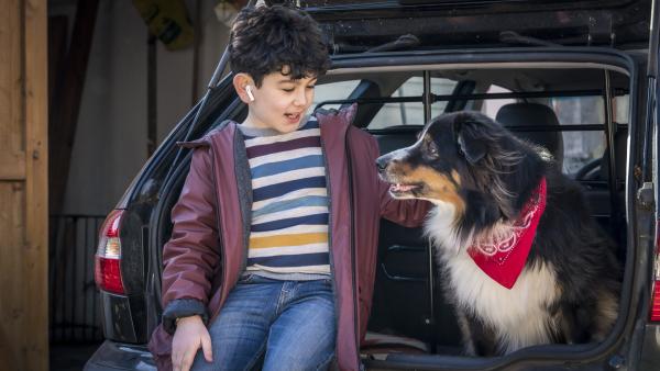 Bild 1 von 5: Endlich kann Milan seinen geliebten Pepper wieder in die Arme schließen.