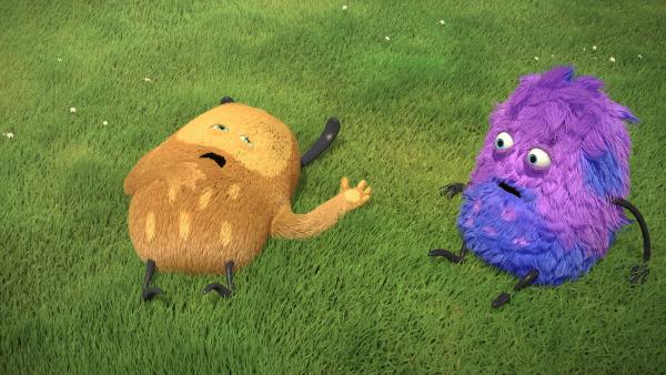 Bild 1 von 2: Kiwi ist so krank, dass er noch nicht einmal Lust hat, mit Strit Fahrrad zu fahren.