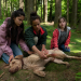 Tiere bis unters Dach