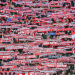 FC Bayern Inside