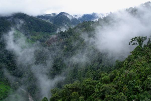 Bild 1 von 4: .