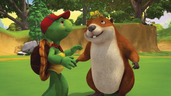 Bild 1 von 4: Franklin und Biber stehen vor einer ganz besonderen Herausforderung. Nur einer von beiden wird Gordon, den Gecko, in den Sommerferien mit nach Hause nehmen dürfen. Wer von den beiden kann besser auf ein Haustier achten?