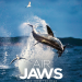 Air Jaws: Weiße Haie vor Neuseeland