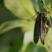 natur exclusiv