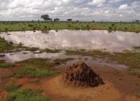 Terra Mater - Eine Perle im Sand