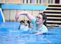 Top Dog Germany - Der beste Hund Deutschlands