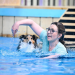 Top Dog Germany - Der beste Hund Deutschlands