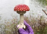 Suppressed Science - Geheimnisse der Wissenschaft