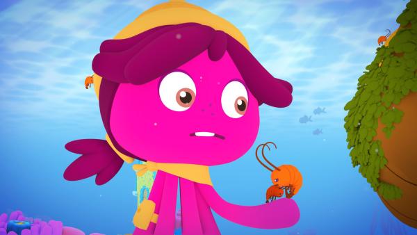 Bild 1 von 1: Maari sorgt sich um die Krillkrebse. Aus irgendeinem Grund geht es ihnen nicht gut.