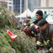 Chicago Fire