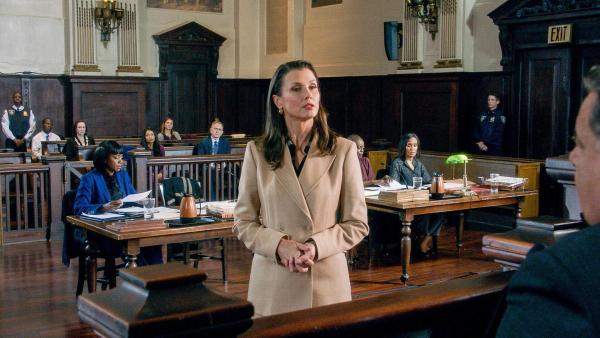 Bild 1 von 24: Im Bild: Bridget Moynahan (Erin Reagan-Boyle).