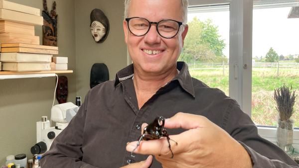 Bild 1 von 5: Entomologe Dirk Rohwedder mit einem Xylotrupes Gideon, einem \