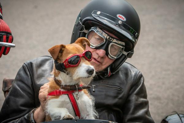 Bild 1 von 9: Rechtsmedizinerin Fleur Perkins überrascht DCI John Barnaby (Neil Dudgeon) - hier mit Hund Paddy - immer wieder mit ihren außergewöhnlichen Hobbys.