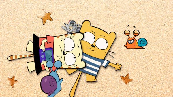 Bild 1 von 3: Am Strand: Moon, Ollie und Stanley