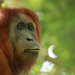 Abenteuer Wildnis