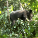 Abenteuer Wildnis