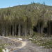 Sommer im Lattengebirge
