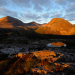 Schottlands neue Wildnis - Das Comeback der Highlands