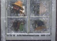 Pettersson und Findus