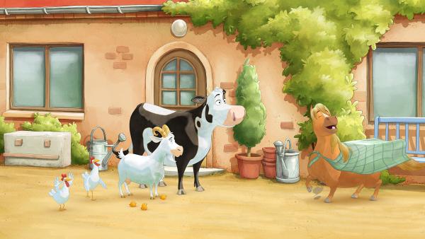 Bild 1 von 3: Das Superpony ist der Held auf dem Hof.